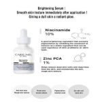 Carenel Niacinamide Zinc Serum - Image 7