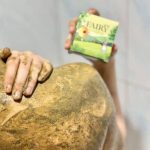 Fairy Coffee Green tea Coconut Oil Scrub Gluta Soap - Image 7