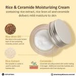 The Face Shop Rice & Ceramide Moisturizing Cream 50ml - Image 6